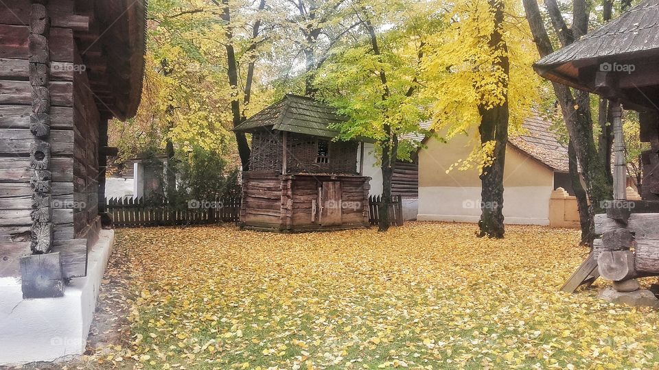 Colour story: Yellow