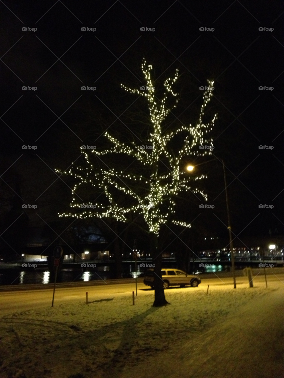 snow winter light tree by lollohenrik