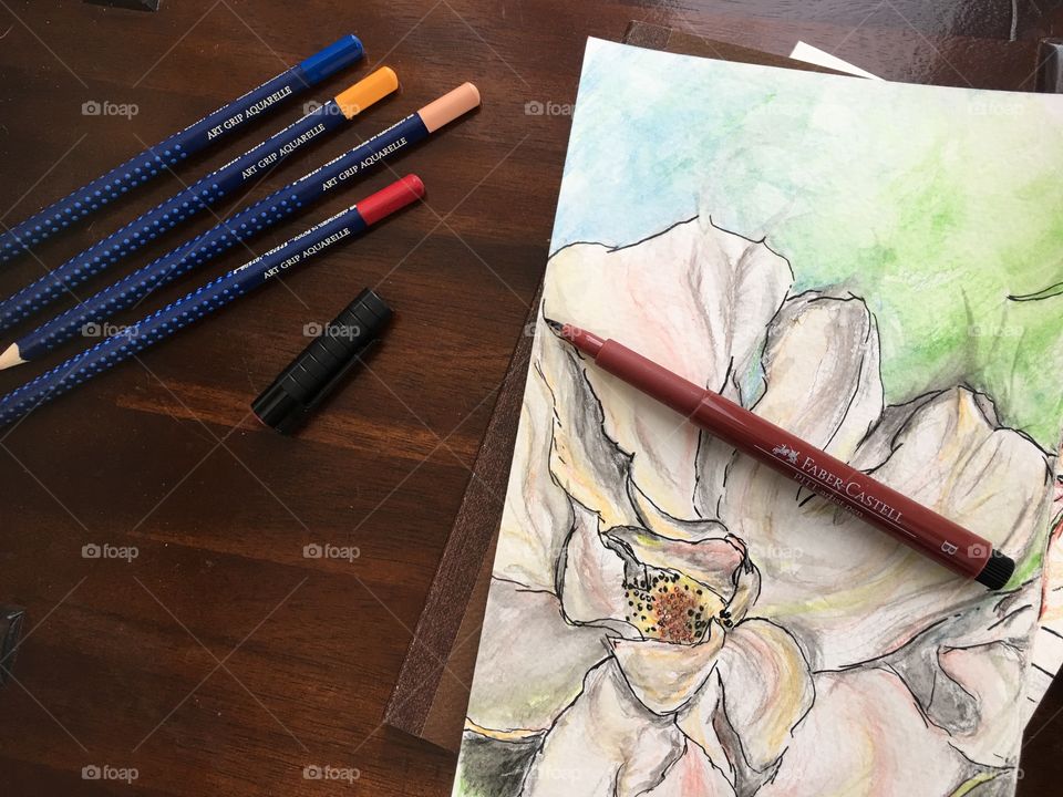 Flowers and nature colors Faber-Castell Aquarelle watercolor sketch art photography 