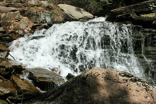 wild splash