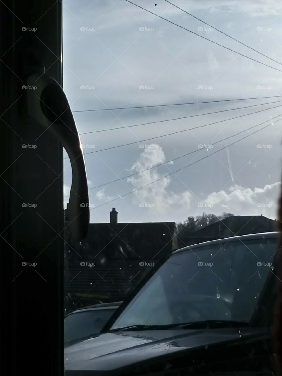 It looks like a seahorse