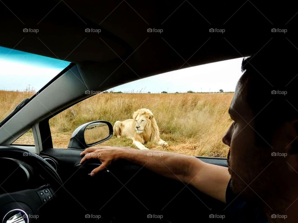 Don't open the window!