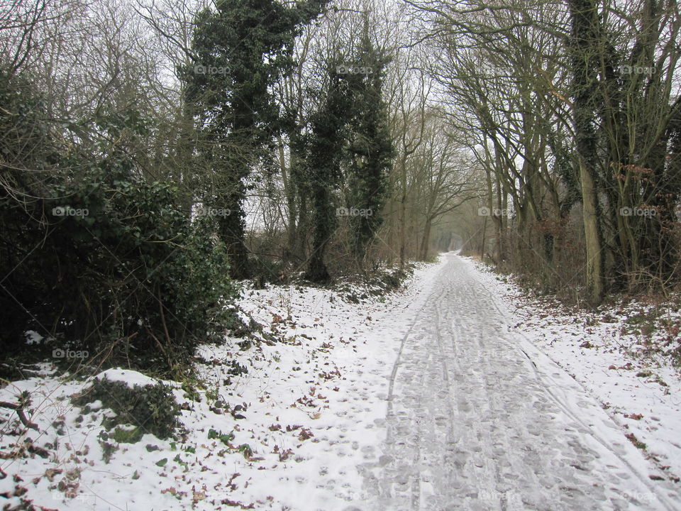 A Frozen Path