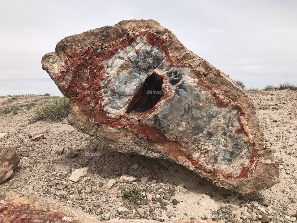 Hole in a petrified log turned to beautiful rock in the Petrified Forest National Park 