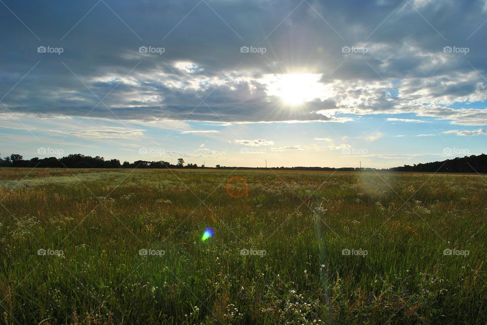 nature Ukraine