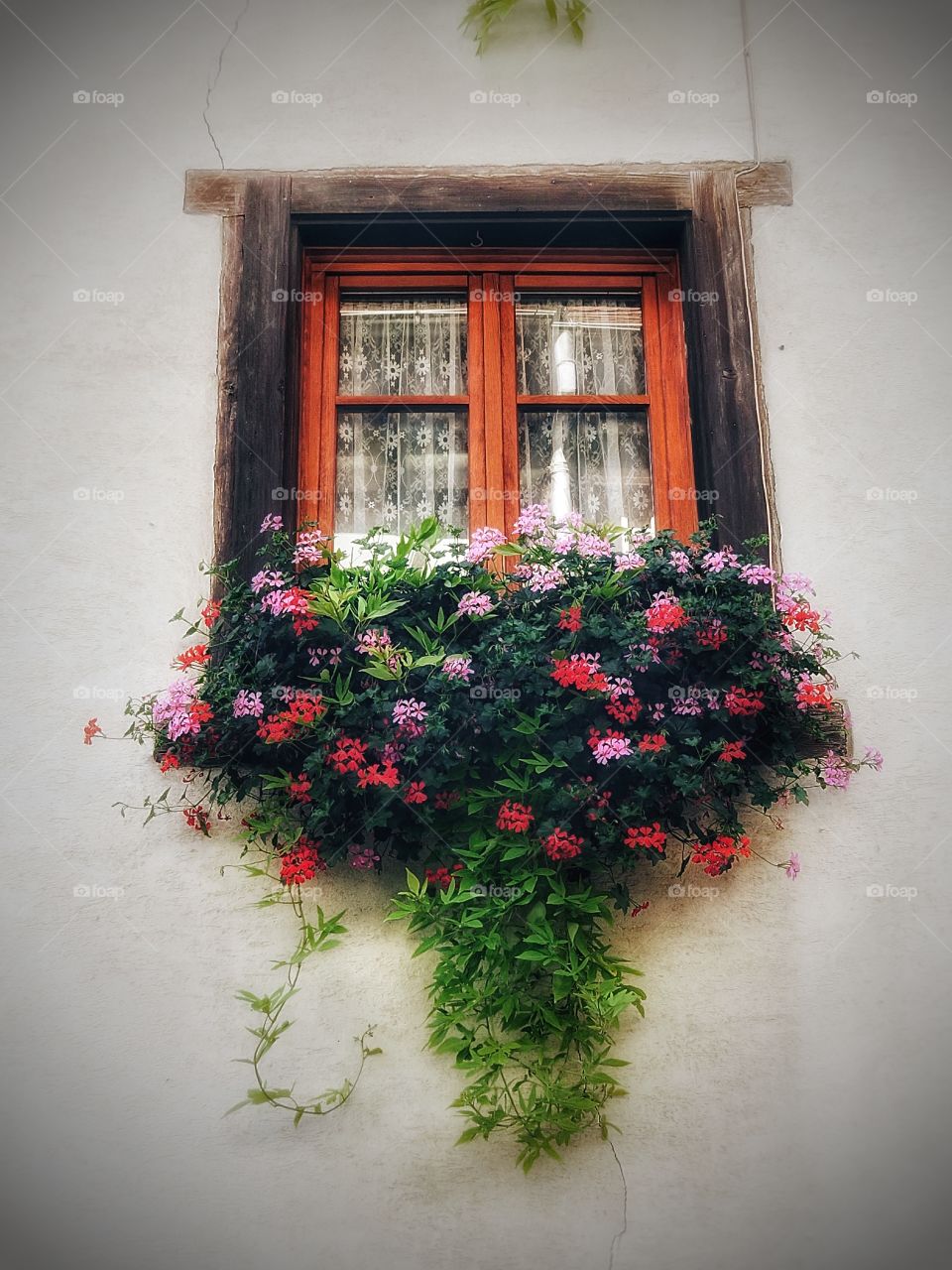 Alsace France Window and flowers