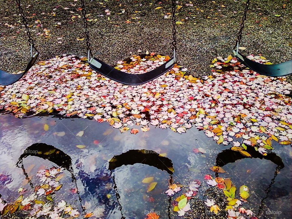 Rainy Autumn Day