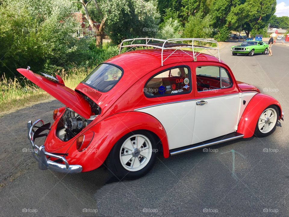  Volkswagen Beetle 