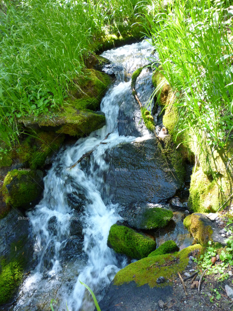grass mountain stream moss by kenglund