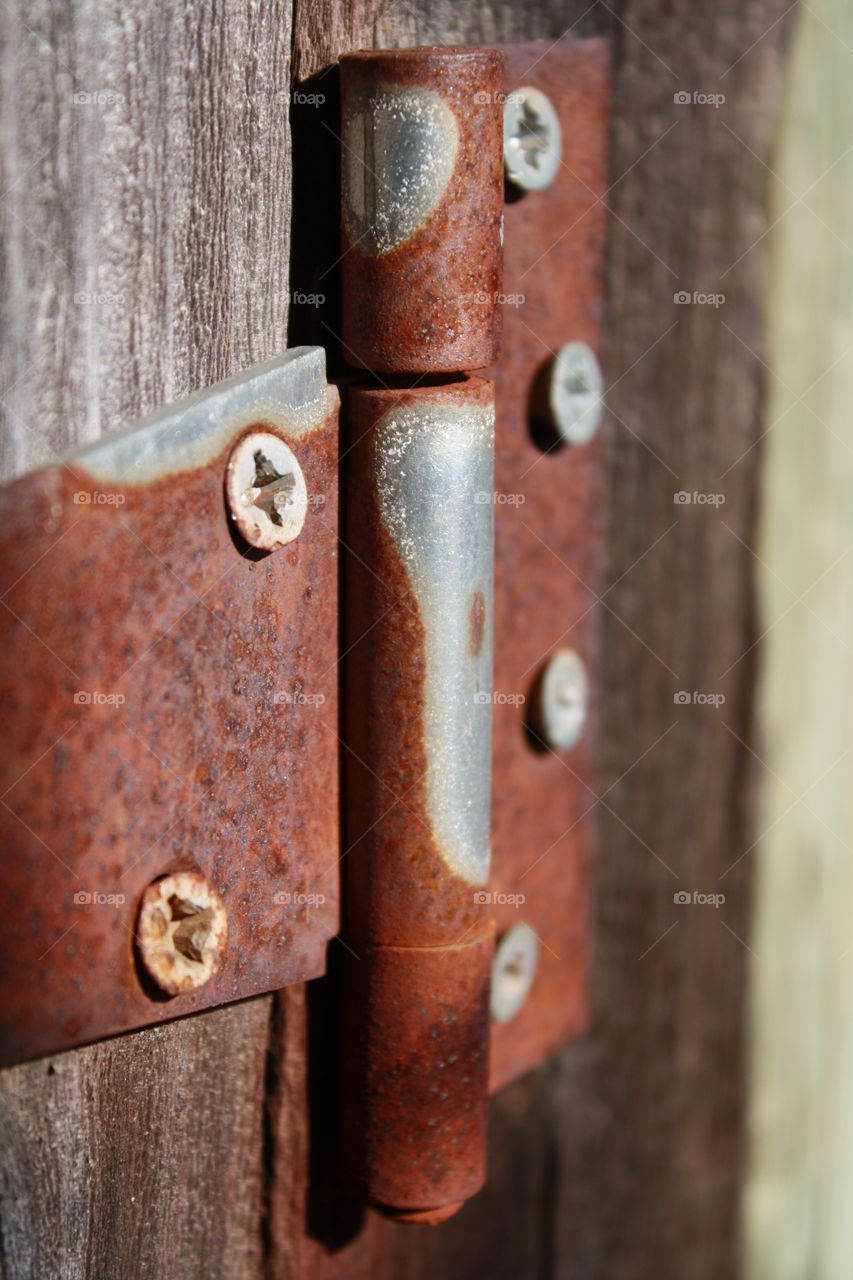 Heart Shaped-Like Image At The Top of Rustic Hinge 