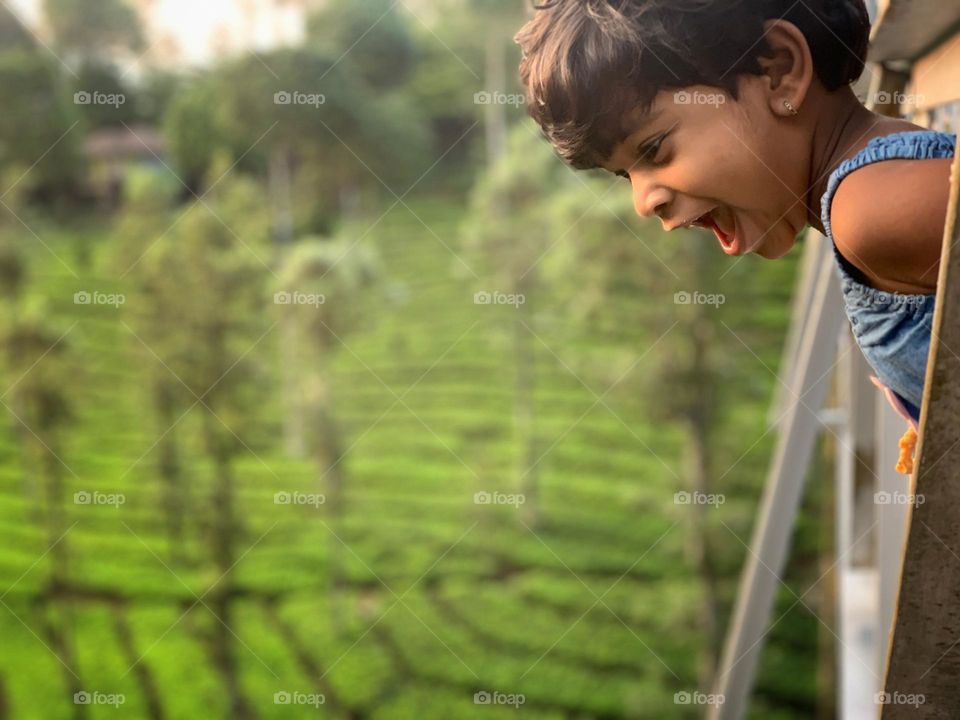 Wandering in to the wonder 