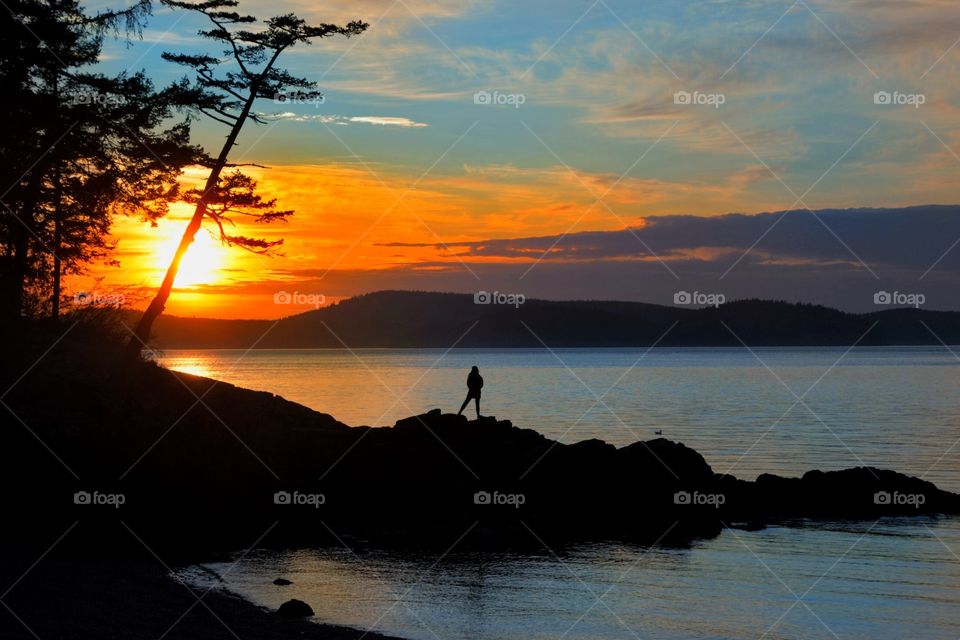 Silhouette sunset