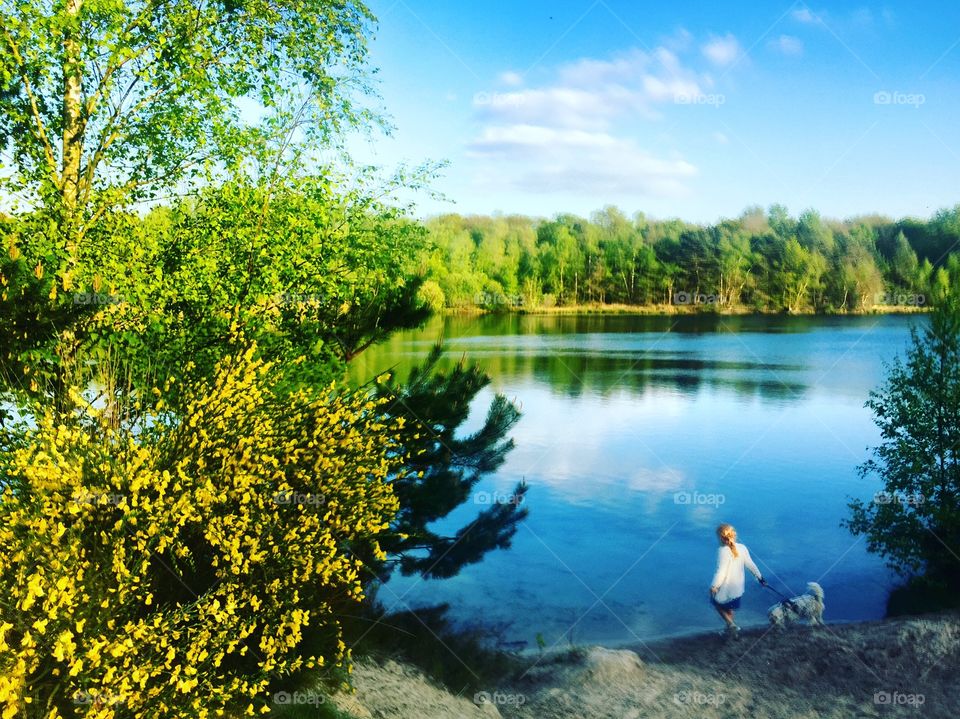 The little girl, her dog and the lake