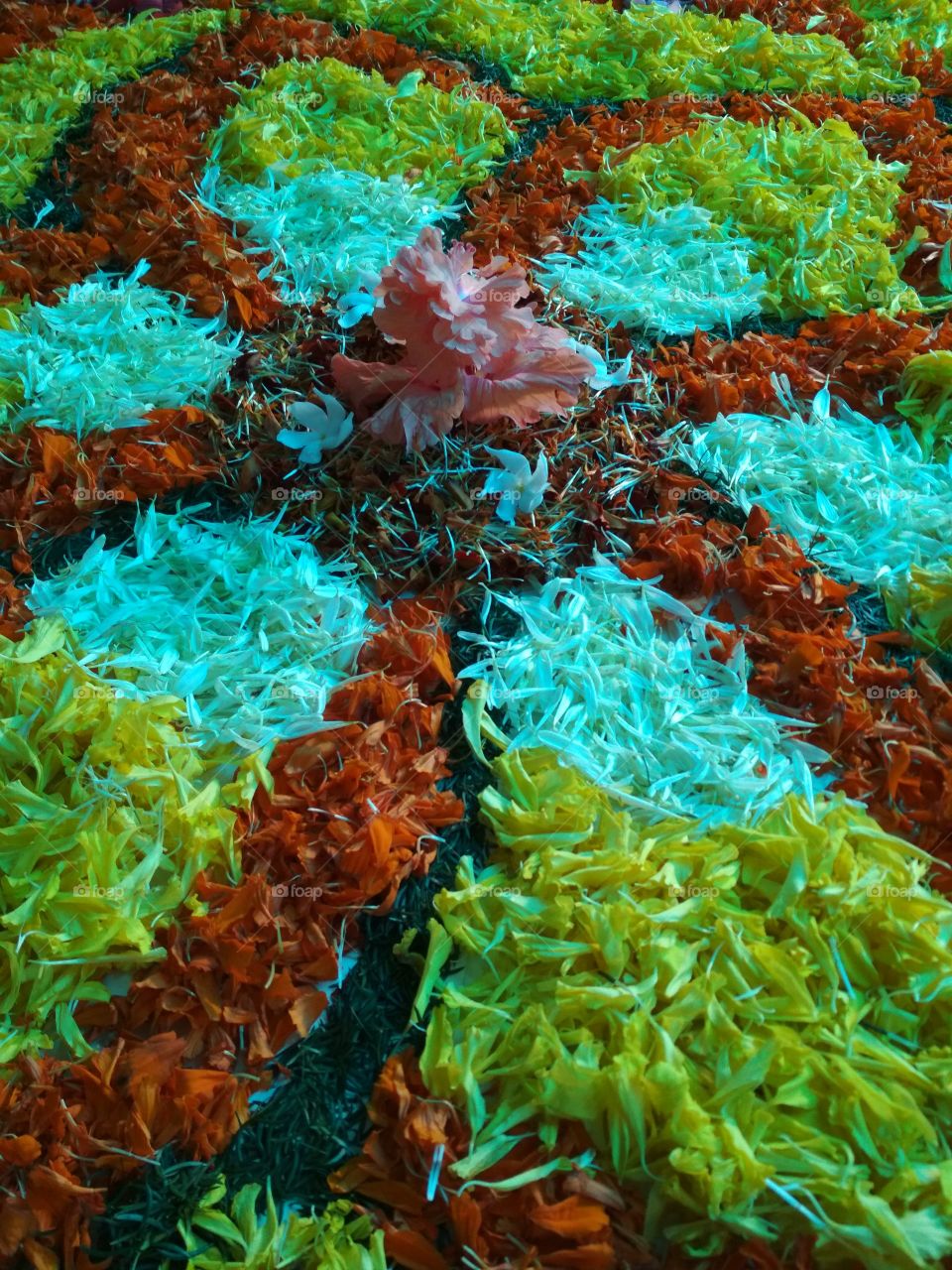 flower carpet