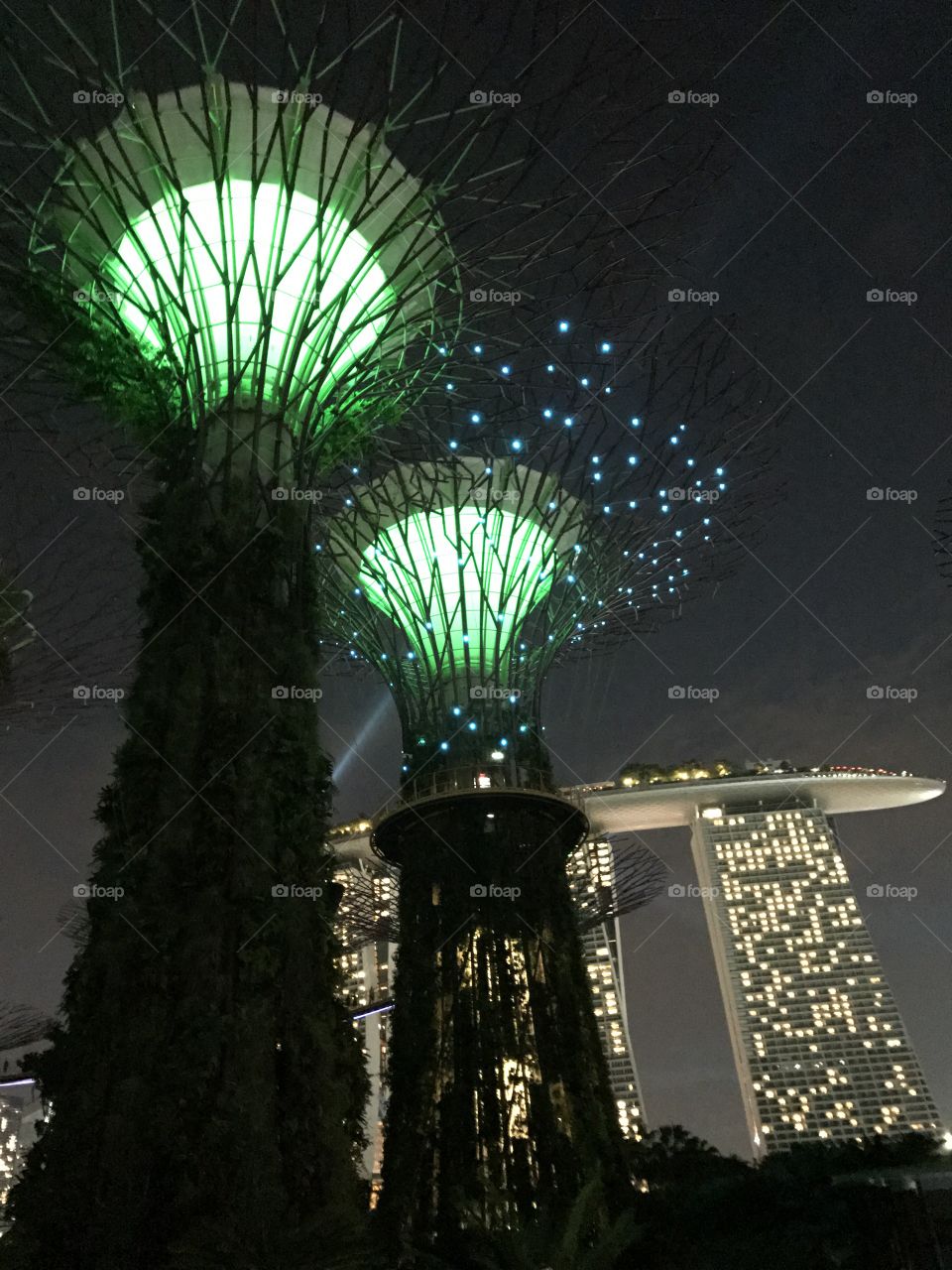 Big Threes Gardens by the Bay in Singapure