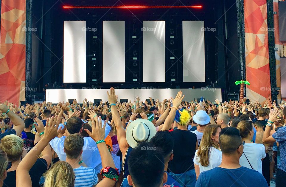 Crowd at concert