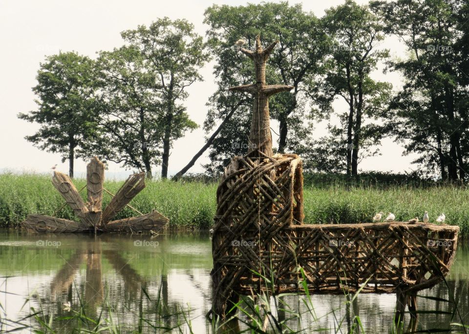 nature art in the Lithuania Neringa