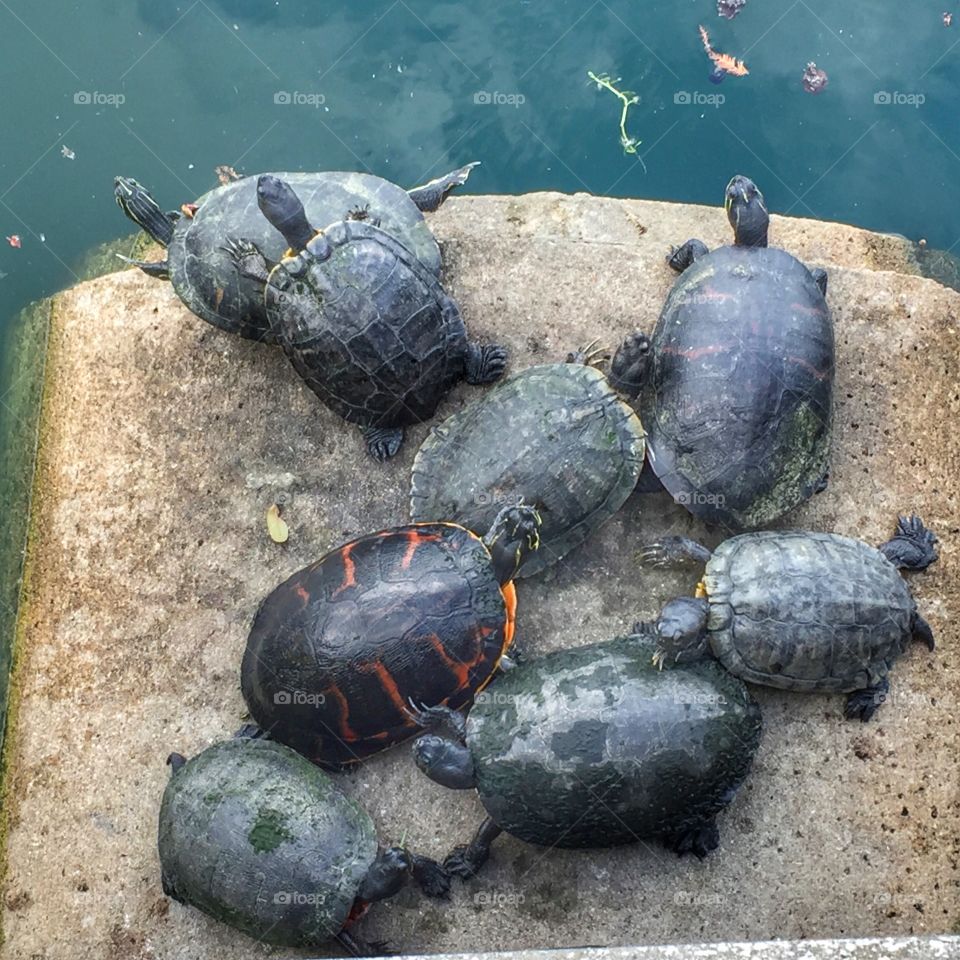 The line starts here!