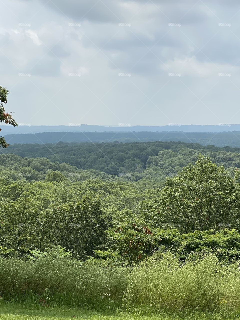 Brown county Indiana 