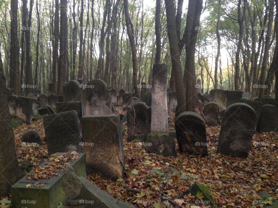 Jewish cementary