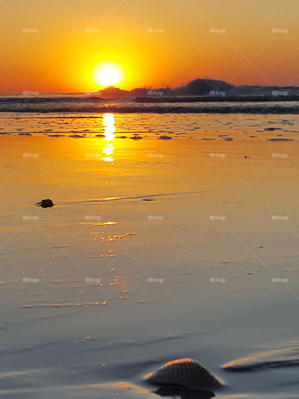 amazing beach at sunrise