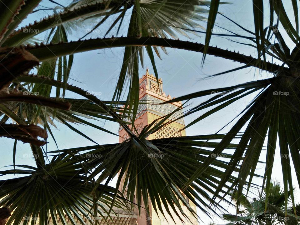 Magic minaret mosque and view from palm trees.