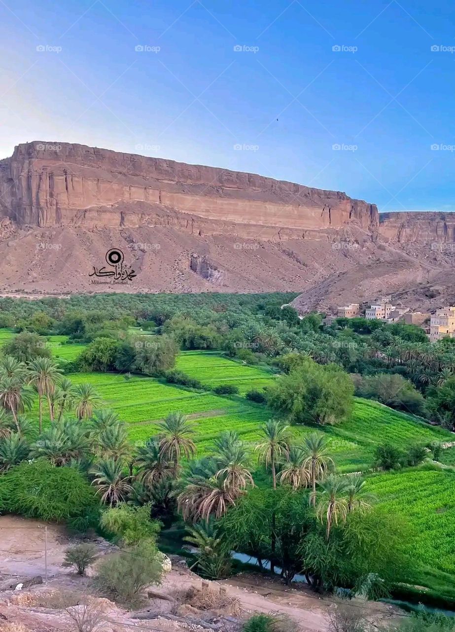 Glory be to God, the magnificent and picturesque view and the natural green trees are a view that is nothing more wonderful than it