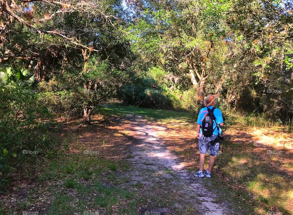 Hiker enjoying the fresh air and wonder of a beautiful green forest.