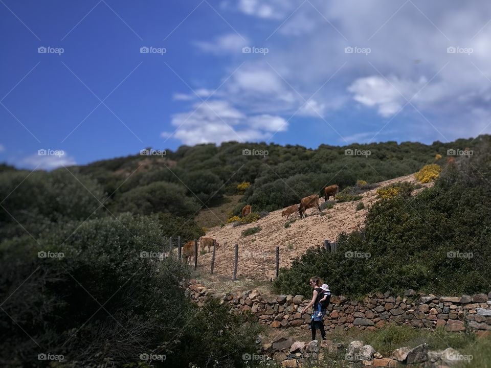 hiking Trail