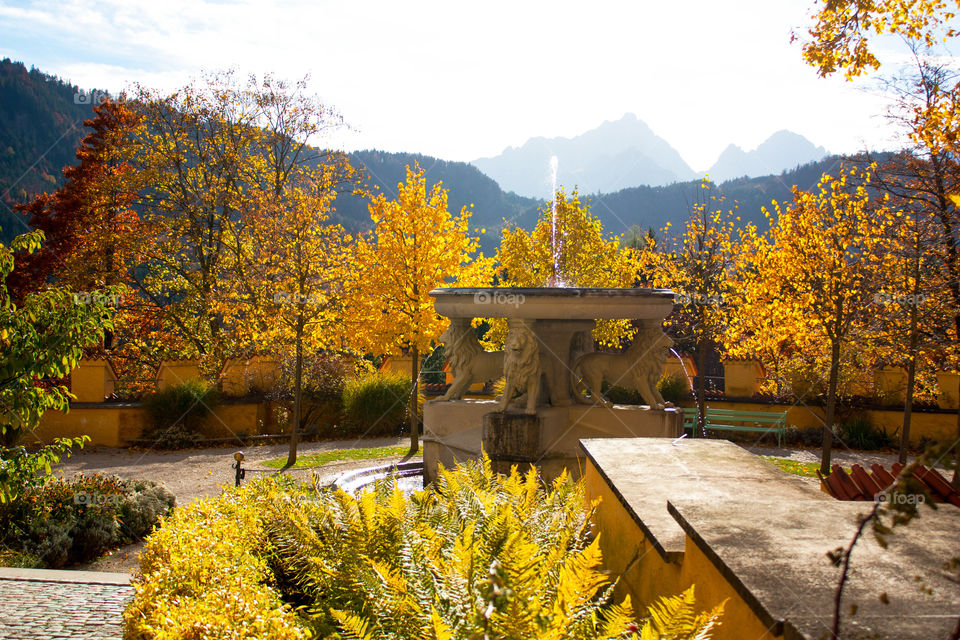 Fountain in formal garden