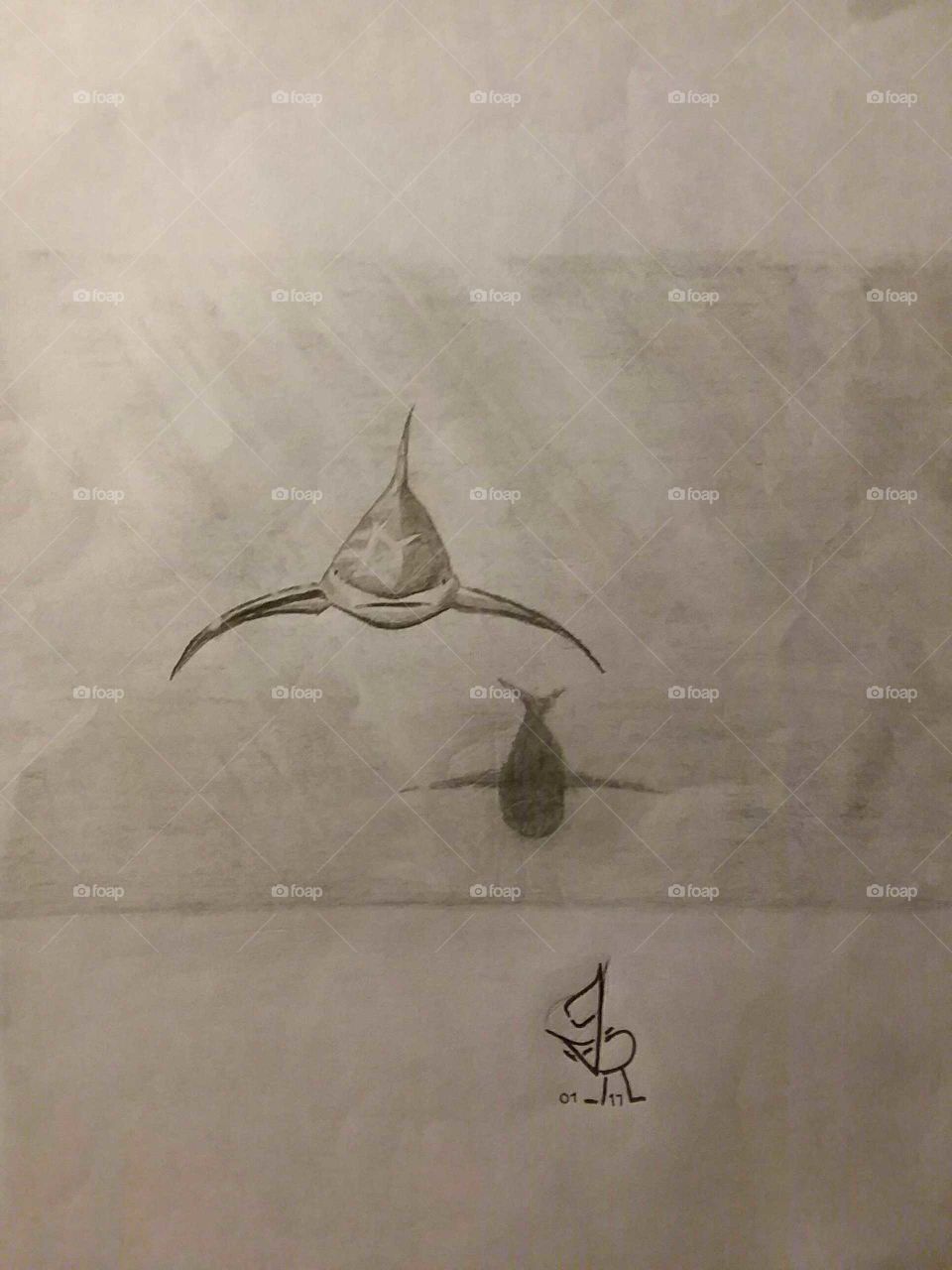 My Pencil Sketches: Shark