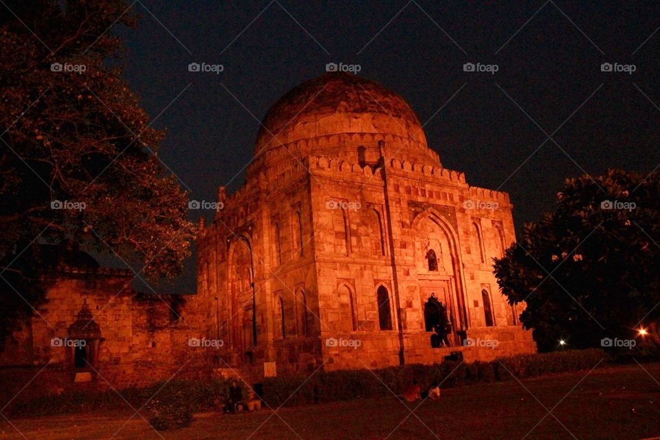 Lodhi Garden #11