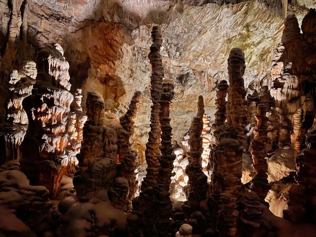 Postojna cave 