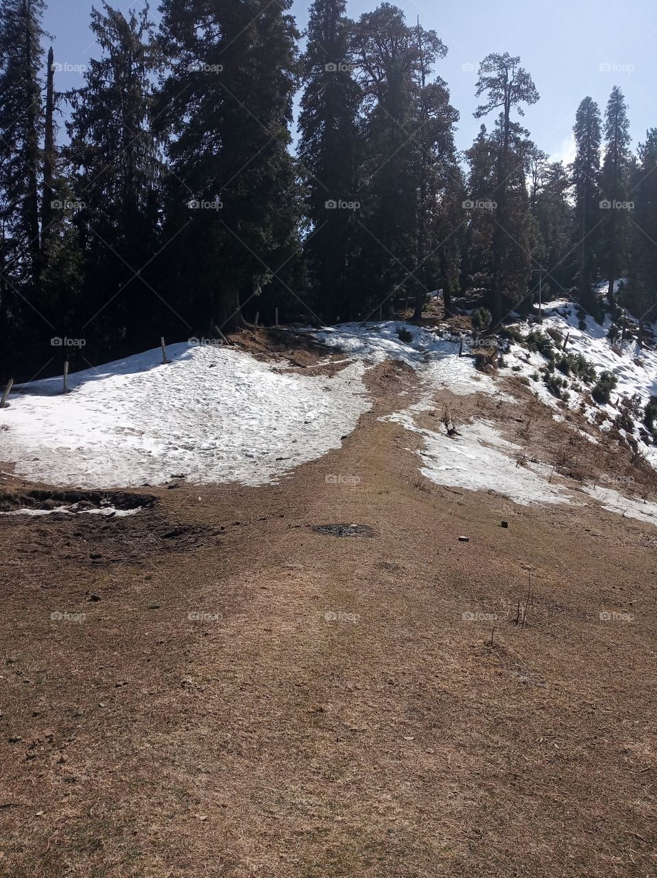 Hatu peak is located in Shimla district of Himachal Pradesh, India at an elevation of 3400 m above sea level. The peak is surrounded by dense forest of conifers, oaks and maples.