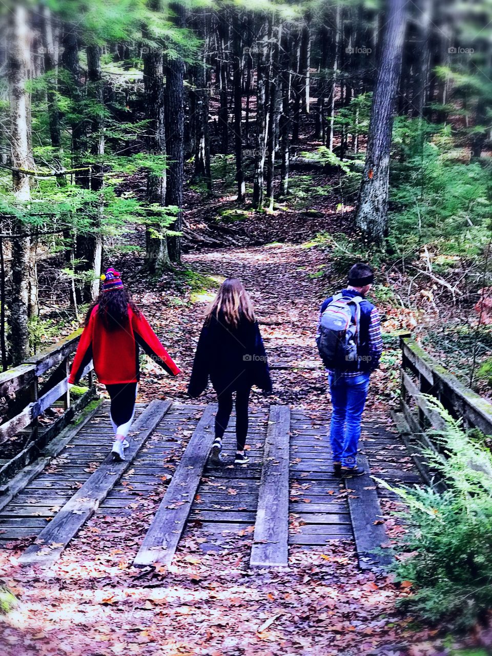 Three hiking through the woods of New Hampshire 
