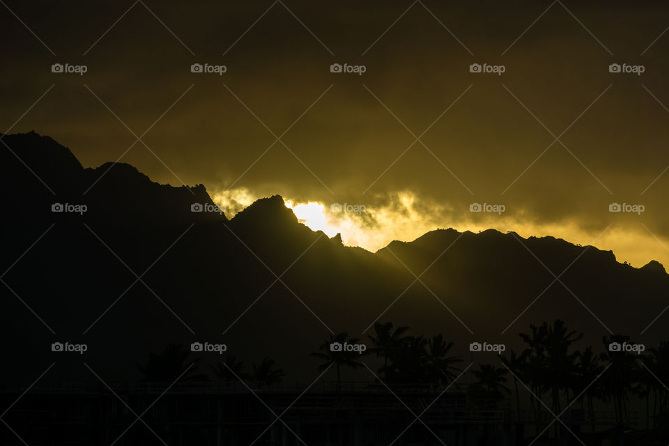 Kauai Rays