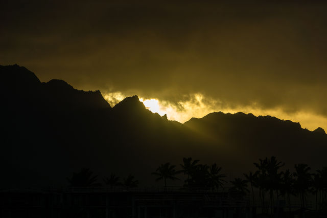 Kauai Rays