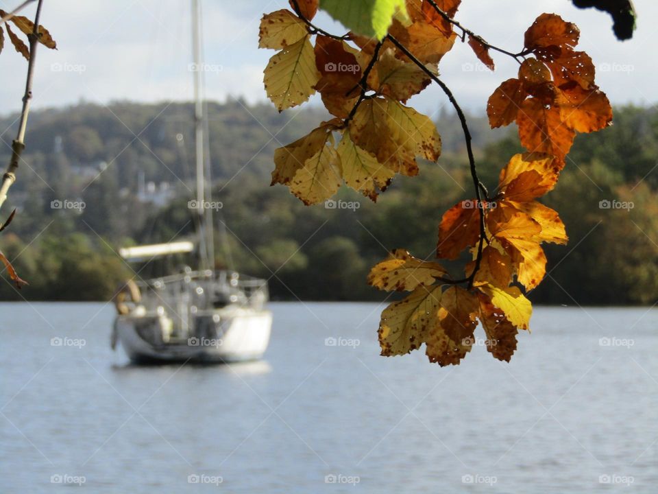 autumn leaves by lake 🍂