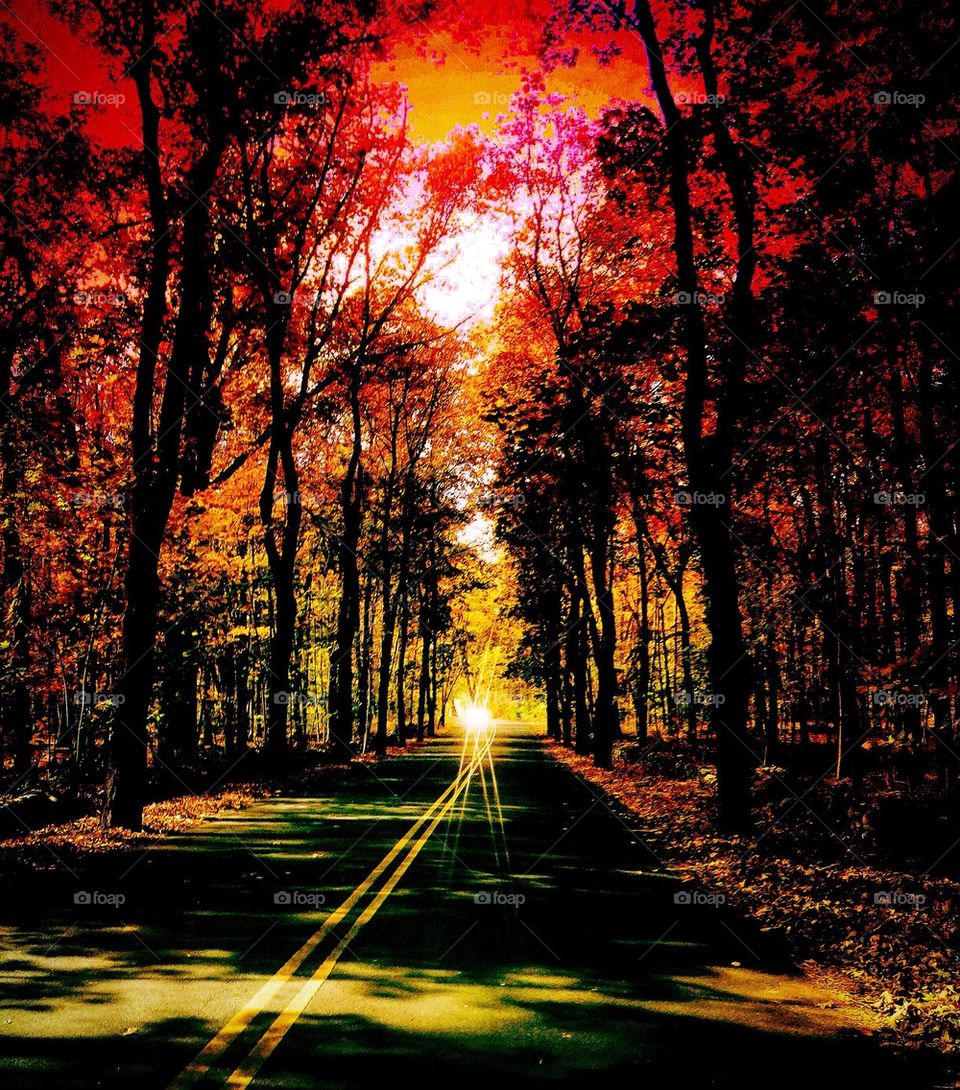 Pink Fire in the Sky