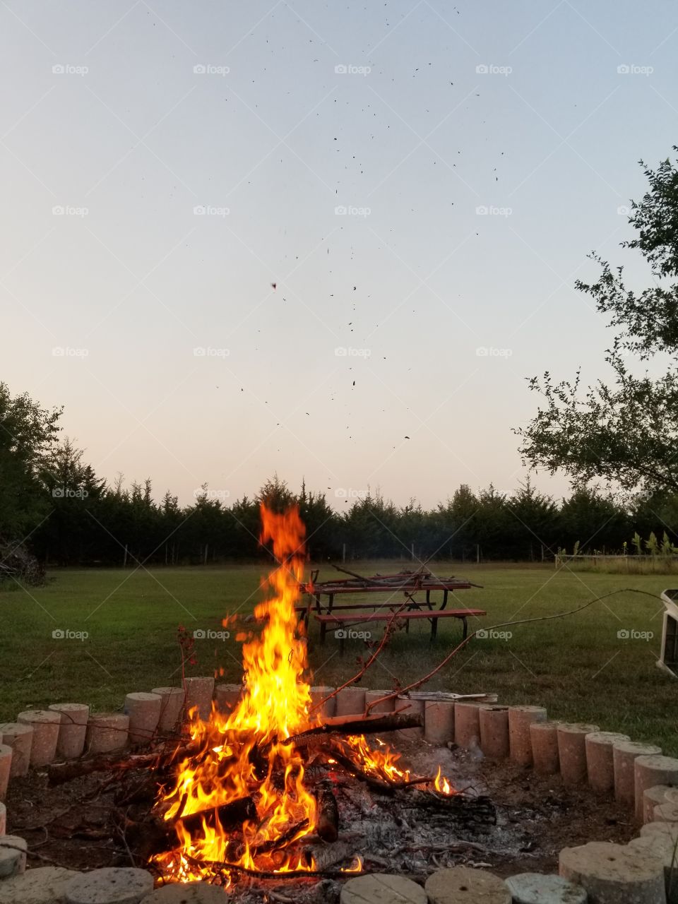Campfire