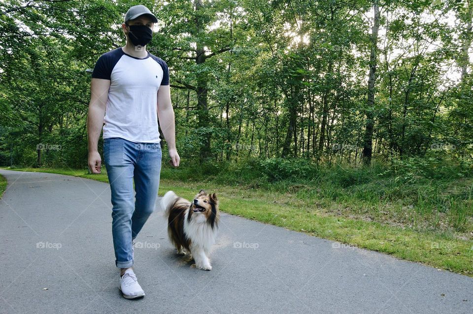 A man walking his Sheltie dog in summer