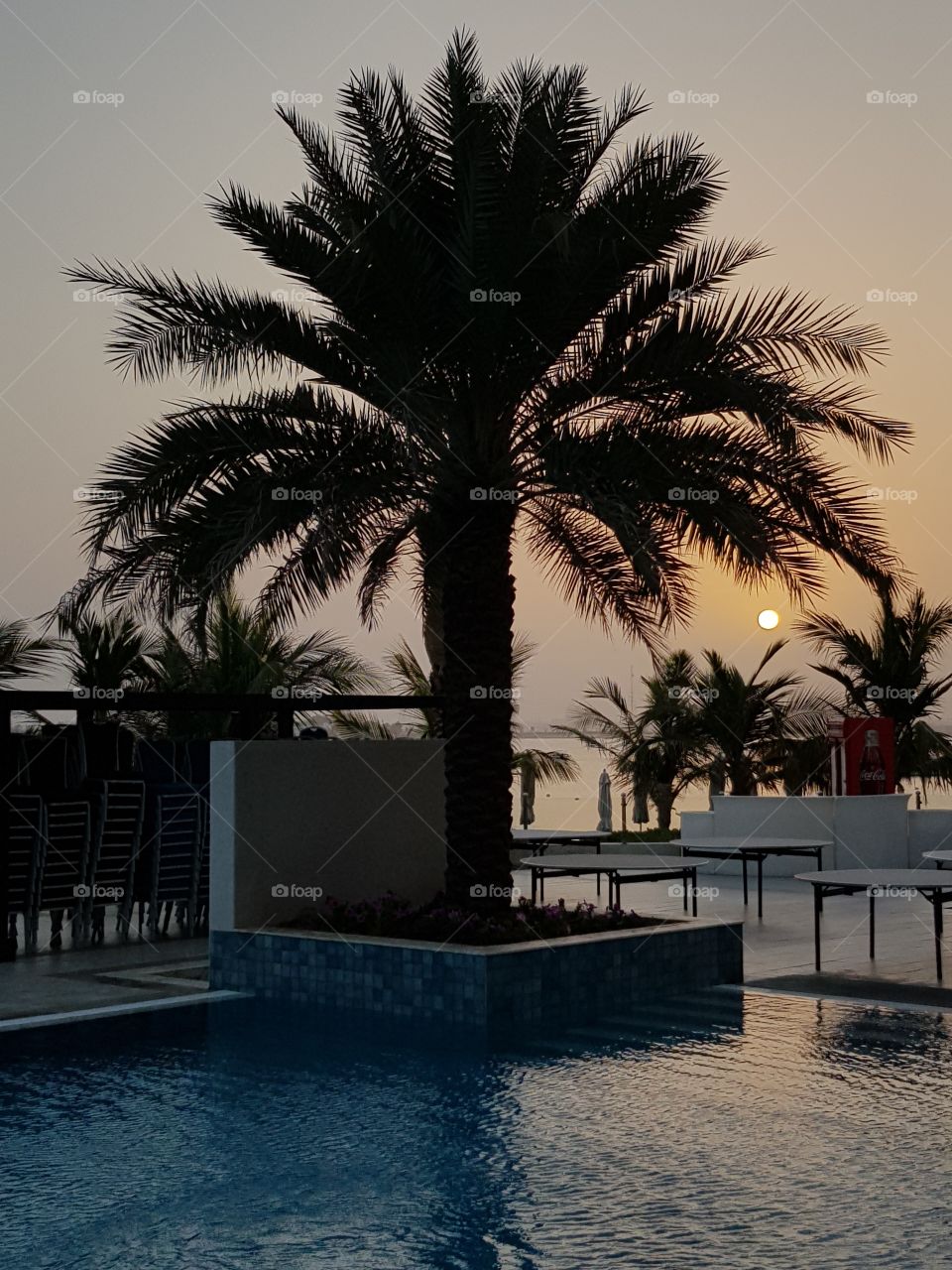 Sonnenaufgang🌴☀️🌴