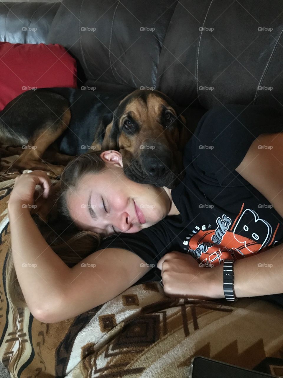Nap time Bloodhound puppy