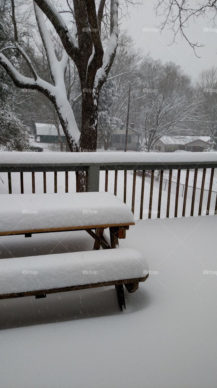 Winter, Snow, Wood, No Person, Cold