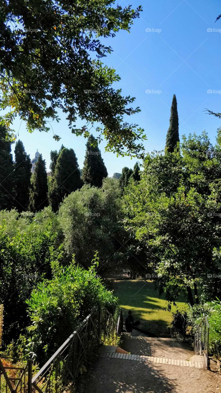 Green Rome, Palatino Hill