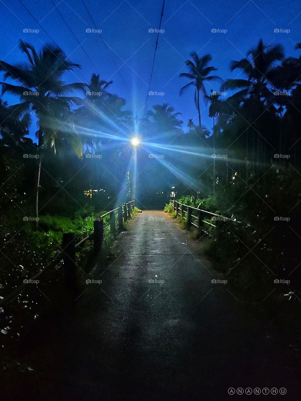 view of an old bridge at night