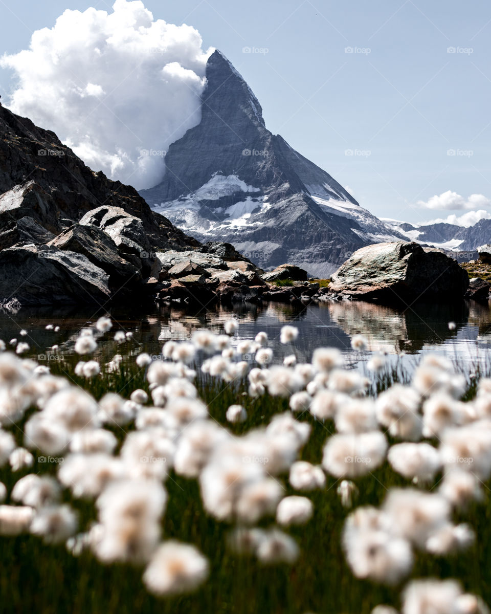Fondo de pantalla del monte Cervino / Matterhorn con lago y campo de algodón
