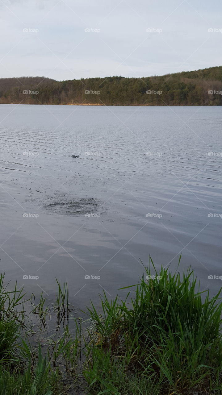 skipping rocks