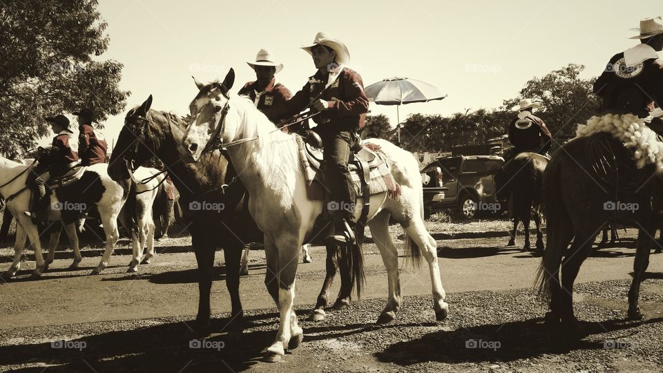 Cavalos, touros e cavaleiros. Confraternização, cavalgada nas ruas. Evento agropecuario tradicional comemorativo de aniversario de cidade brasileira. Cowboys e Cowgirls.