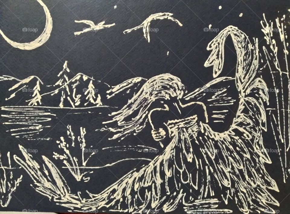 Broken wings... My art)